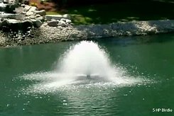 AquaMaster Fountains Master Series