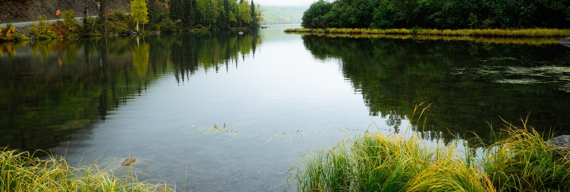 The Lake Doctor - lake management floating fountains Dallas Fort Worth Texas - Lake Management Company - Floating Fountains Aeration Systems Vegetation Control Fish Fish Feeders Installation & Design