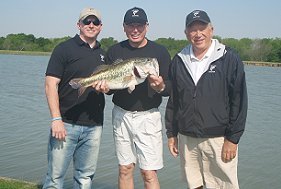 Lake Management Floating Fountains Aeration Irrigation Pump Systems Dallas Fort Worth Texas