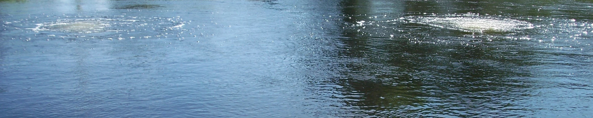 Keaton Industries Aeration Systems
Quiet Line Series Lake Management Floating Fountains Aeration Irrigation Pump Systems Aeration System Prosper Texas