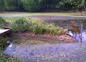 Lake Management Services Plano Texas Lake Management Floating Fountains Aeration Irrigation Pump Systems Dallas Fort Worth Texas