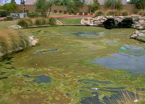 Lake Management Services Plano Texas Lake Management Floating Fountains Aeration Irrigation Pump Systems Dallas Fort Worth Texas