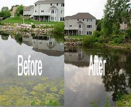 Vegetation Control Prosper Texas- Lake Management Floating Fountains Aeration Irrigation Pump Systems Vegetation Control Prosper Texas