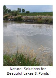 Lake Management Floating Fountains Aeration Irrigation Pump Systems Dallas Fort Worth Texas Aeration Systems in Prosper