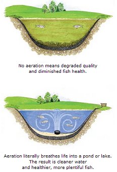 Fish Stocking Dallas Fort Worth - Lake Management Floating Fountains Aeration Irrigation Pump Systems Dallas Fort Worth Texas Aeration Systems in Prosper